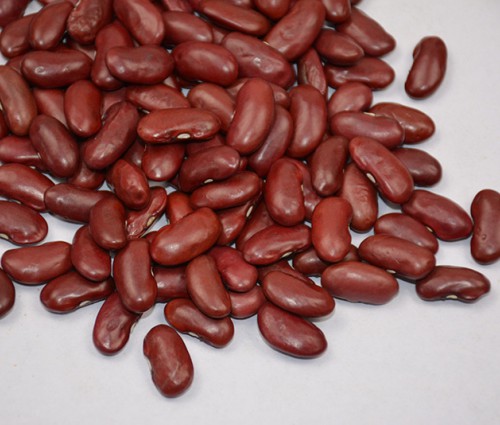 红芸豆/Kidney beans